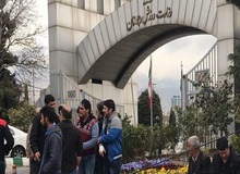 فدارسیون های کشتی، والیبال و وزنه برداری رئیس ندارند/ دستاورد ضعف وزیر ورزش و جوانان بلاتکلیفی فدارسیون های مهم 