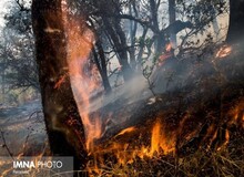 بالگرد آبپاش در ترکیه/ جنگل های زاگرس همچنان در آتش/ تصاویری از جانباختگان مهار آتش‌سوزی زاگرس
