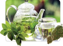 فواید بی‌نظیر گیاه پونه کوهی حریف را بشناسید
