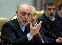 علی اکبرصالحی: دستمان روی ماشه است؛ باید فرمانده دستور بدهد
