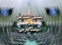 استفاده ایران از تمام ظرفیت‌ها برای پیگیری جنایات حمله تروریستی آمریکا