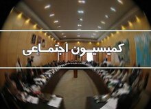 سوال از وزیر کار در دستور کار کمیسیون اجتماعی مجلس