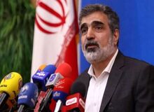سخنگوی سازمان انرژی اتمی: بازرسان آژانس بر تعویض سوخت نیروگاه بوشهر نظارت می‌کنند