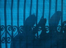 موادفروشی داماد و مادرزن در نازی آباد