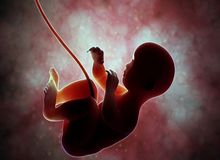 فتوای جدید رهبری؛ "ناقص‌‌الخلقه‌بودن جنین" مجوّزی برای سقط آن محسوب نمی‌شود