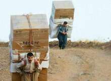سرمای شدید جان کولبر سردشتی را گرفت
