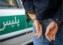 عاملان تیراندازی در شهر ری دستگیر شدند
