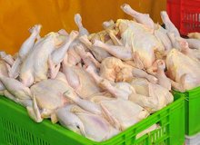 
افزایش تولید مرغ و کاهش نسبی قیمت در آستانه محرم