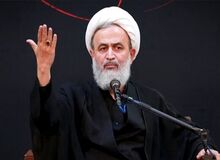 پناهیان: زن موجود لطیفی است که به سختی "فحش" می‌دهد