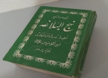 استاد حوزه: برخی اعتقاد دارند "اگر مردم نهج‌البلاغه بخوانند نسبت به انقلاب و نظام بدبین می‌شوند"
