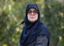 مهاجرانی: آمار کلی جان‌باختگان به دستور رئیس‌جمهور منتشر شد و اسامی هم به دستور پزشکیان منتشر خواهد شد