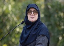 مهاجرانی: آمار کلی جان‌باختگان به دستور رئیس‌جمهور منتشر شد و اسامی هم به دستور پزشکیان منتشر خواهد شد