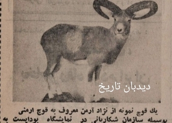 موفقیت چشمگیر ایران در نمایشگاه بین المللی شکار بوداپست