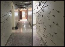 دفاتر نمایندگان فردا تحویل داده می شود