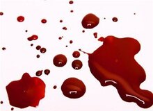 قصاص جنایتکار در مشهد/ او زن 25ساله را در برابر دیدگان فرزندان خردسال کشته بود