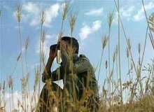 مرگ محیط بان دنا به دلایل نامشخص