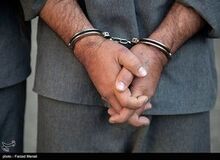 دستگیری  بزرگترین  واردکننده نهاده‌های دامی مازندران/ تخلف ۱۳۰ میلیاردی سوء استفاده کننده از ارز دولتی