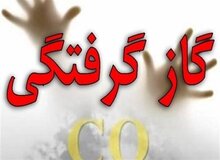 مرگ زوج جوان در روستای قره‌چای ساوه بر اثر گازگرفتگی/ نوزاد ۹ روزه در بخش NICU بستری شد