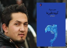 گفت وگوی دیده‌بان ایران با «مجیب مهرداد» روزنامه‌نگار و شاعر افغان برنده «جایزه شعر احمد شاملو»: فرهنگ فراتر از جغرافیای سیاسی است/ شعر من بار اجتماعی دارد؛ حتی شعرهای عاشقانه ام!

