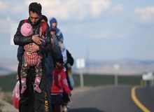 ۵۵ درصد مهاجرین افغانستانی در ایران هستند