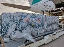 هلال احمر: تاکنون بیش‌از هفت‌میلیون دوز واکسن وارد کرده ایم