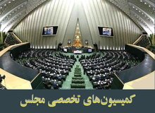 بررسی آخرین وضعیت کارت سوخت در دستور کار جلسات هفته آینده کمیسیون‌های مجلس

