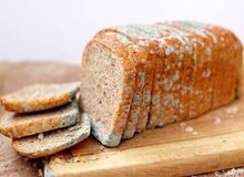 غذای کپک زده خطرناک است؟