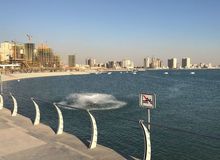 آخرین اخبار از جستجوی تمساح در دریاچه چیتگر/ آتش نشانی: در بررسی‌های امروز چیز خاصی مشاهده نشد
