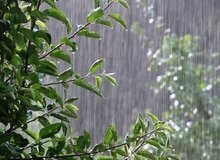 پیش‌بینی بارش بالای ۷۰درصدی بیشتر از نرمال در پاییز/آماده‌باش نیروهای امدادی