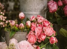 انفجار قیمت شاخه گل در آستانه روز مادر / سبد گل ۳ میلیون تومان شد!+تصاویر 