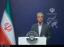 علی ربیعی: دولت را حمایت کنید

