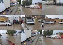بارش شدید باران در سرپل ذهاب