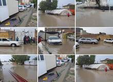 بارش شدید باران در سرپل ذهاب