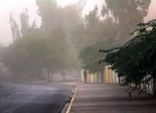 چرا بوی خاکِ نم‌ خورده  آرامش‌ بخش است؟/ آیا عطر باران جایگزین دارد