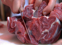آلودگی گوشت‌ها به کرونا تکذیب شد