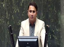  عضو فراکسیون محیط زیست مجلس: محل نگهداری توله‌ها کوچک و غیراستاندارد بود/ از متخصصان دامپزشکی خوبی برای توله یوزهای «ایران» استفاده نشد/ به تازگی دامپزشکی را از اندونزی آورده‌اند ولی خیلی دیر شده