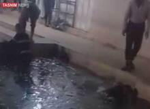عوامل حادثه کمپ ترک اعتیاد در شیراز بازداشت شدند