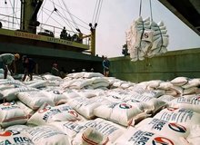 برنج پاکستانی و هندی در راه ایران؛ قیمت‌ها پایین می‌آید؟