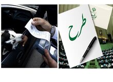 مجلس انقلابی به دنبال طرح صیانت از حقوق عامه در برابر حیوانات+ متن طرح/ واردات، نگهداری و گرداندن سگ و گربه ممنوع و مشمول قانون مجازات اسلامی شد+ اسامی نمایندگان 