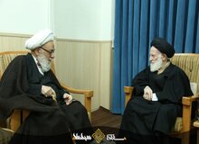 گفت وگوی تلفنی آیت الله امینی با آیت الله شبیری زنجانی/ملاقات آیت الله گرامی با این مرجع تقلید 