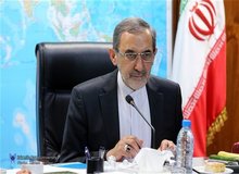 ولایتی: ظریف، موگرینی را به بندهای نقض شده برجام ارجاع داد/ترامپ هرجا رفته با خود شر برده است

