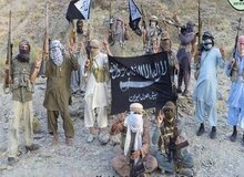 جزییات دستگیری تروریست عضو جیش الظلم