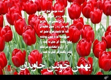 کمپین ارگان رسانه‌ای نزدیک به سپاه: رسانه ملی سرودهای انقلابی را در دهه فجر بیشتر پخش کند