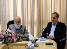 شوراها می توانند بعضی از قوانین را مطابق با مقتضیات محلی اصلاح کنند