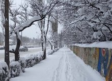 ببینید: رفتگری کودک ۱۱ ساله با لباس شهرداری در شب برفی تهران+ فیلم 