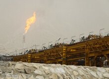 تعاونی‌های پتروشیمی تخصصی‌تر می‌شوند