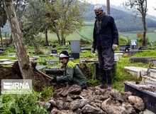 ناقل بودن پیکر مبتلایان به کرونا تکذیب شد