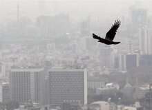 متوسط قیمت مسکن تهران اعلام شد/ هر متر مربع ۱۳۰ تا ۱۵۰ میلیون تومان/ خریداران از بازار فرار کردند