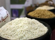  افزایش ۹۵ درصدی قیمت برنج در یک سال گذشته 