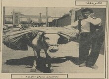 داد زدن در تهران ممنوع شد +عکس و گزارش